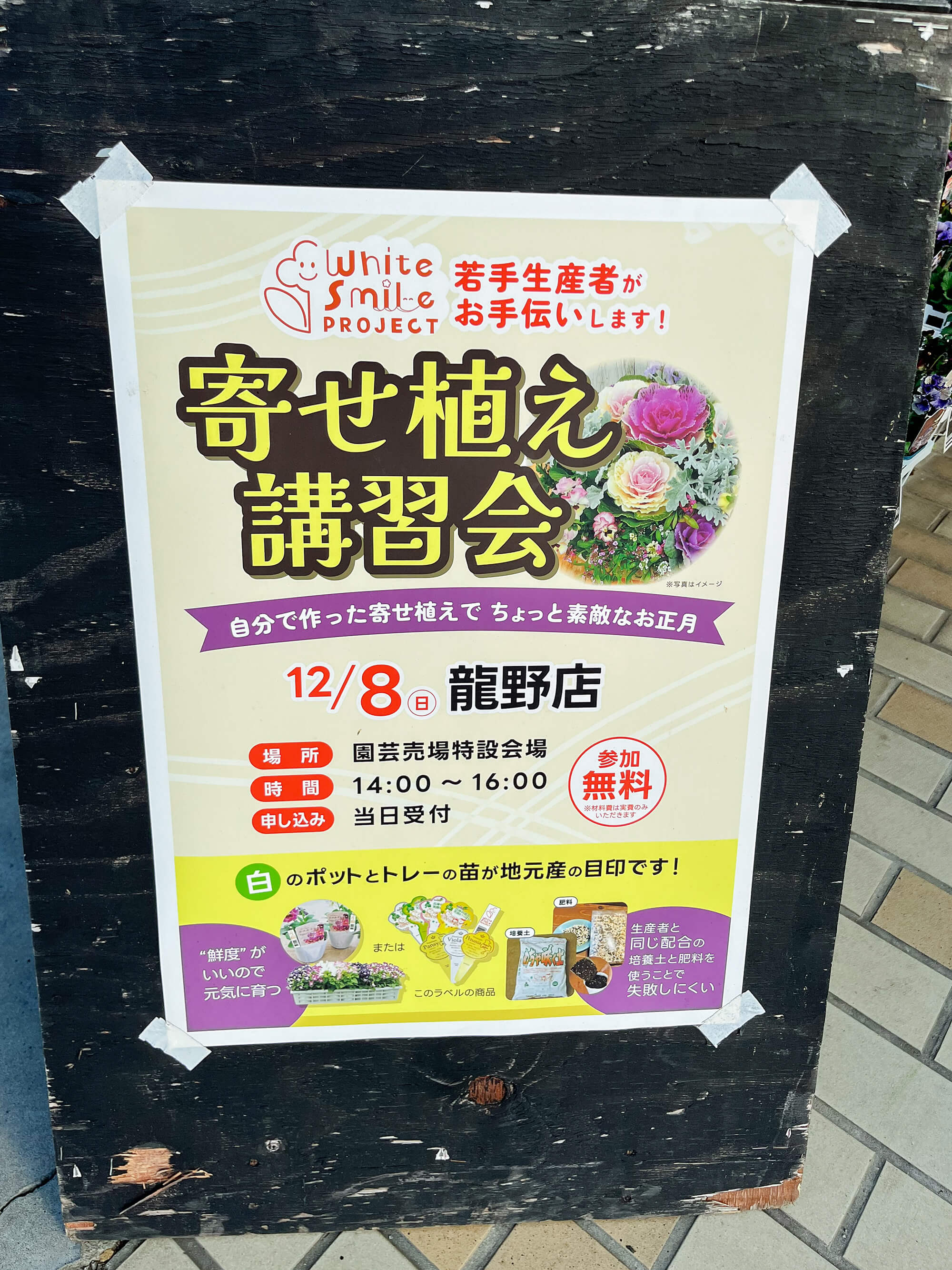 アグロガーデンでの寄せ植え講習会